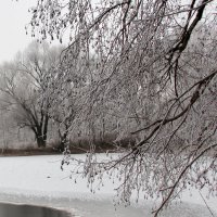 у водоема :: Татьяна Нижаде