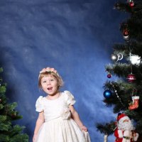 Новогодняя Сказка... :: Детский и семейный фотограф Владимир Кот
