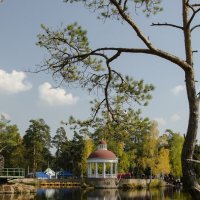 Autumn in the park :: Dmitry Ozersky