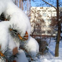 Зима в моём городе.. :: Сергей Петров