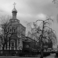 Новодевичий монастырь :: Григорий Карамянц