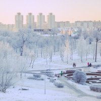 Зима пришла в Минск :: Irene Freud