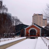 Теплицы Аптекарского огорода. Москва. :: Владимир Болдырев