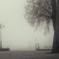 в тумане :: александр макаренко