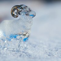Стеклянный барашек на снегу :: Иван Рочев
