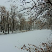Зима. :: Николай   Тесля 