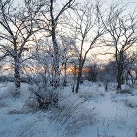 Первый день зимы :: Виталий Кийко