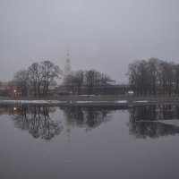 Туманное утро :: Наталья Левина