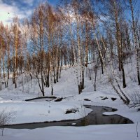 Чистый снег :: Владимир Макаров