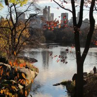 Центральный парк в Нью Иорке :: anna borisova 