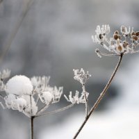 Зима :: Евгений Казыханов