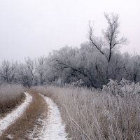 Пейзаж :: Владимир 