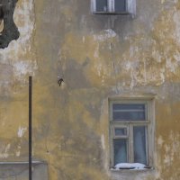 Старые стены :: anna borisova 