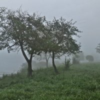 сентябрьский туман :: Елена 