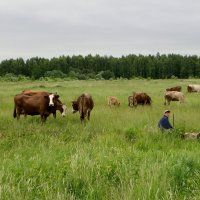 Вдали от суеты. :: Святец Вячеслав 