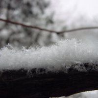 snow :: Ольга Савич
