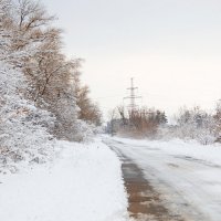 Первый снег_5 :: Инна Силина
