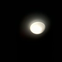 Освящённая темнота :: Ellica Moons 