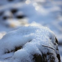 Путь будет снег зимой! :: Ната Волга