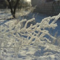 зима :: Юлия Закопайло