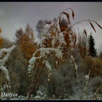 Первый снег :: Николай Малуха