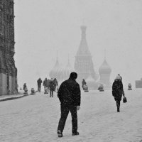 в Москве снегопад... :: Ольга Дмитриева 