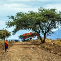 Путешествие по национальным паркам Танзании :: Сергей Андрейчук