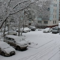 Ноябрь. Выпал снег. :: Олег Афанасьевич Сергеев