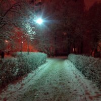 Снег вечером :: Павел Михалёв