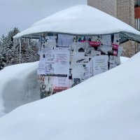 Молочное.Снежная зима :: Валерий Талашов