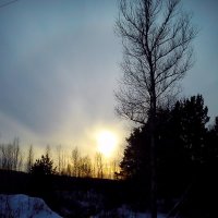 Зимний закат :: оксана савина