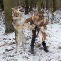 Девочка и волк. :: Александр Лейкум