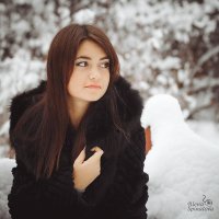 В лесу :: Алена Шпинатова