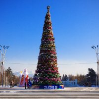 Елка, скоро Новый Год! :: Виктор Гришенков