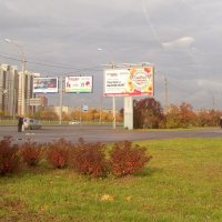 Осенний Петербург :: alemigun 