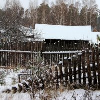 Спрятавшись от шумных перемен... :: Лесо-Вед (Баранов)