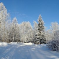 Морозный день :: Виктор Четошников