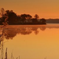 Утром на озере... :: Андрей Зелёный