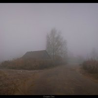 туманным утром.. :: Taras Oreshnikov