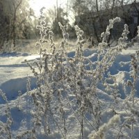 зима :: Юлия Закопайло