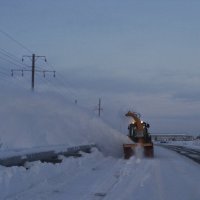 Дорога должна быть проходимой! :: Tata Wolf