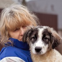 Наталья Беликова - помощь бездомным животным - http://priutisobaky.ru/ :: Анатолий Тимофеев