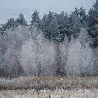 Зима... :: Алексей Ревук