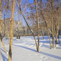 Следы и тени на снегу . :: Мила Бовкун