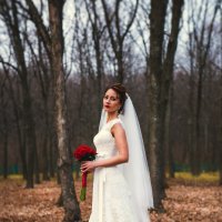 The autumn bride :: Сергей Бабичев