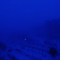 Снежный туман :: Светлана Лысенко