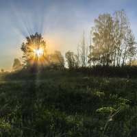 Солнечное утро :: Валентин Котляров