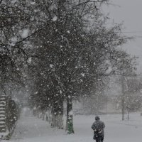 Снегопад :: Сергей Жданов