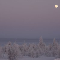 Зима :: Сергей Лызов