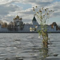 Цветы на воде. :: Святец Вячеслав 